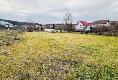 Teren Construcții intravilan de 1227 mp, în Șcheia - 4