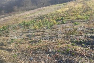 Teren de 1800 mp, în Moigrad-Porolissum