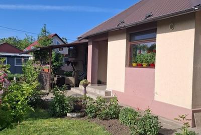 Casă cu 3 camere în Vișinii - 14