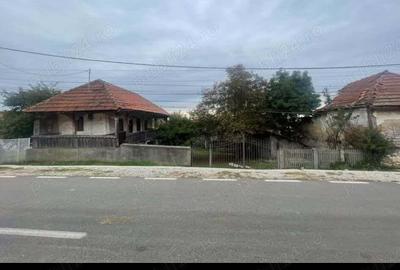 Teren de 6980 mp, în Dobrița - 4