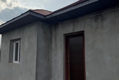 Casă cu 3 camere în Radu Vodă