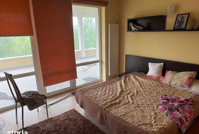 Casă cu 9 camere cu Teren 1575 Mp în Borșa - 16