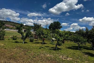 Casă cu 2 camere cu Teren 1800 Mp în Slava Rusă - 2
