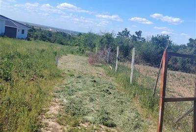 Teren intravilan de 888 mp, în Paleu