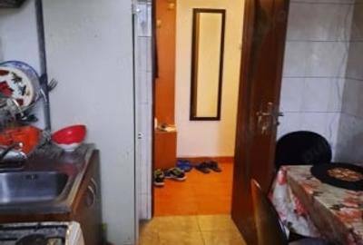 Apartament cu 2 camere semidecomandat, mobilat în Brazda lui Novac - 3