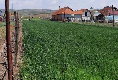 Teren de 2200 mp, în Brădești - 3