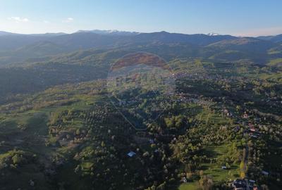 Teren Construcții intravilan de 15459 mp, în Bughea de Sus - 1