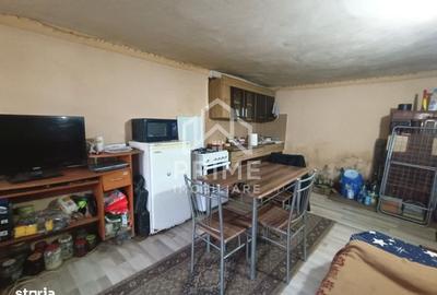 Casă cu 2 camere cu Teren 3000 Mp în Tibru - 3