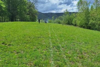Teren de 46000 mp, în Slatina de Mureș - 2