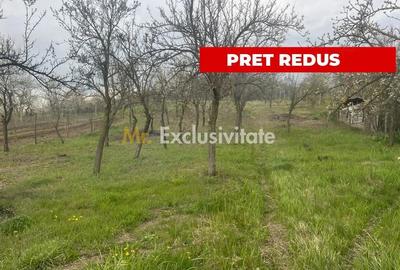 Teren de 2200 mp, în Călinești