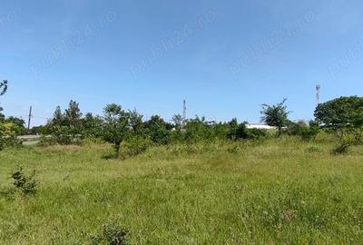 Teren de 925 mp, în Berceni