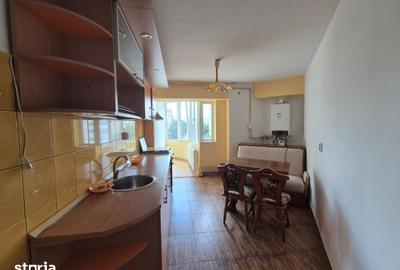 Apartament cu 3 camere decomandat, mobilat în Casa de Cultură - 15