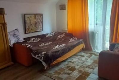 Casă individuală cu 5 camere cu Canalizare în Traian - 12