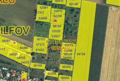 Teren Construcții intravilan de 18000 mp, în Dascălu - 2