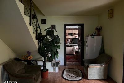Casă cu 2 camere cu Teren 4368 Mp în Certeju de Sus - 8