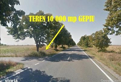 Teren de 10000 mp, în Gepiu - 8