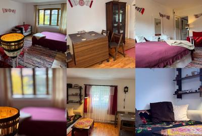Casă cu 4 camere cu Teren 7500 Mp în Bazna
