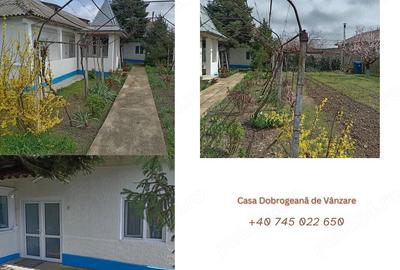 Casă cu 4 camere cu Teren 1593 Mp în Agighiol - 2