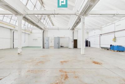Spațiu industrial, de 431 mp, în Aurel Vlaicu - 7