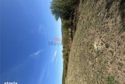 Teren de 8000 mp, în Central