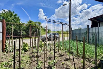 Casă individuală cu 2 camere cu Canalizare în Turnișor - 10