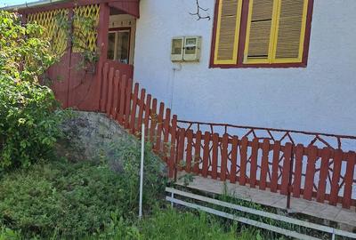 Casă cu 3 camere cu Teren 4000 Mp în Zimbor - 2