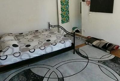 Apartament cu 2 camere nedecomandat în Iosefin