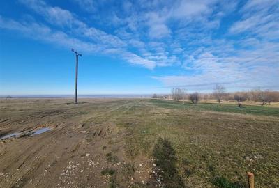Teren Construcții extravilan de 22790 mp, în Dejani - 6