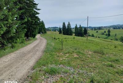 Teren de 10450 mp, în Tiha Bârgăului - 2