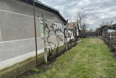 Casă cu 4 camere cu Teren 3611 Mp în Iratoșu - 6