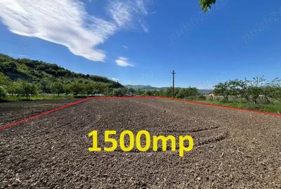 Teren de 1500 mp, în Bejan - 1