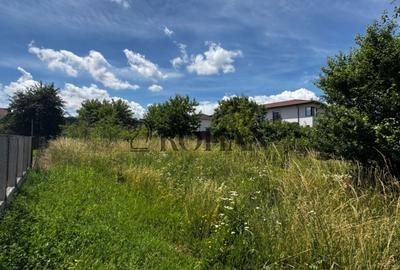 Teren agricol intravilan de 1032 mp, în Cetate - 2