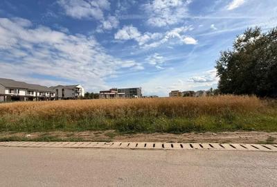 Teren de 716 mp, în Dumbrăvița
