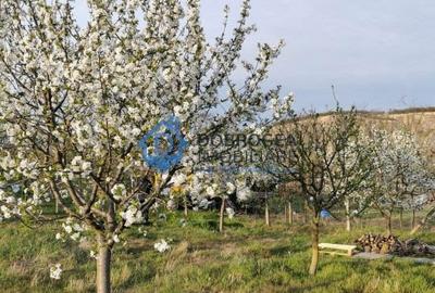 Teren Construcții intravilan de 608 mp, în Zona Industrială - 2