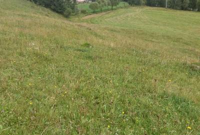 Teren de 24134 mp, în Ciocănești - 2