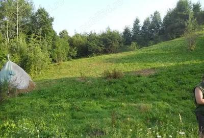 Teren de 1223 mp, în Breaza de Jos - 3