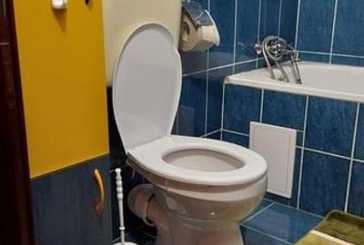 Garsonieră în Calea Aradului - 4