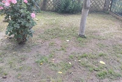 Casă cu 5 camere cu Teren 2500 Mp în Domnești - 2