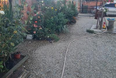 Casă cu Teren 476 Mp în Dobreni