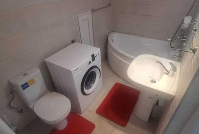 Garsonieră decomandată în Banat - 1