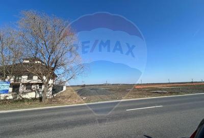 Teren Construcții intravilan de 40000 mp, în Cocani - 1