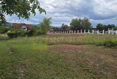 Teren Construcții intravilan de 871 mp, în Mușcel