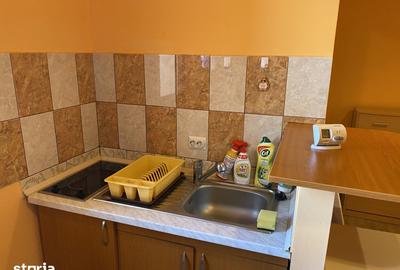 Garsonieră în Trei Stejari - 1