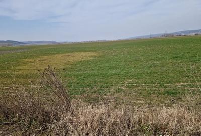 Teren de 3300 mp, în Șimnicu de Sus - 3