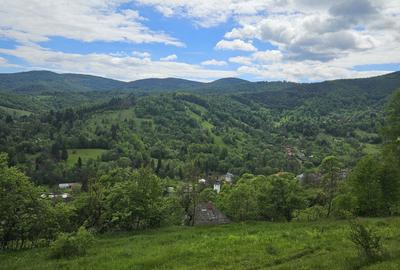 Teren de 5800 mp, în Avram Iancu - 1