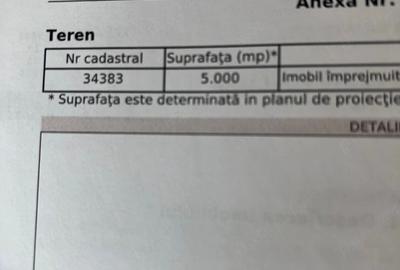 Teren de 5000 mp, în Sălăgeni - 1