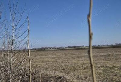 Teren de 36800 mp, în Scutelnici - 2