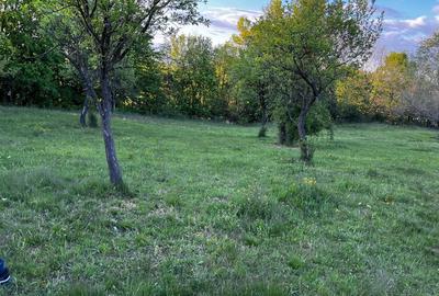 Teren de 5600 mp, în Pianu - 4