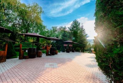 Hotel/Pensiune, de 300 mp, în Rucăr - 5