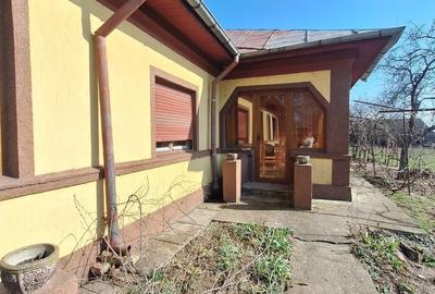 Casă cu 6 camere cu Teren 1341 Mp în Frumușani - 4